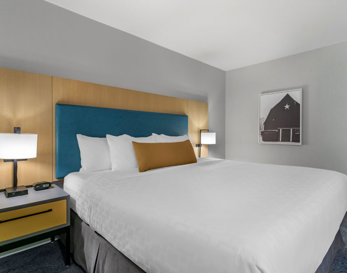 Executive One Bedroom Suite
