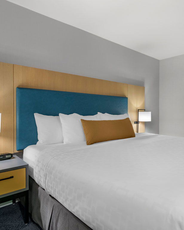 Executive One Bedroom Suite