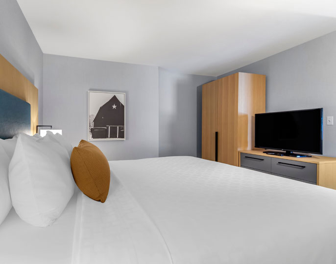 Executive One Bedroom Suite