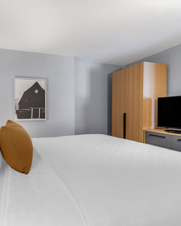 Executive One Bedroom Suite