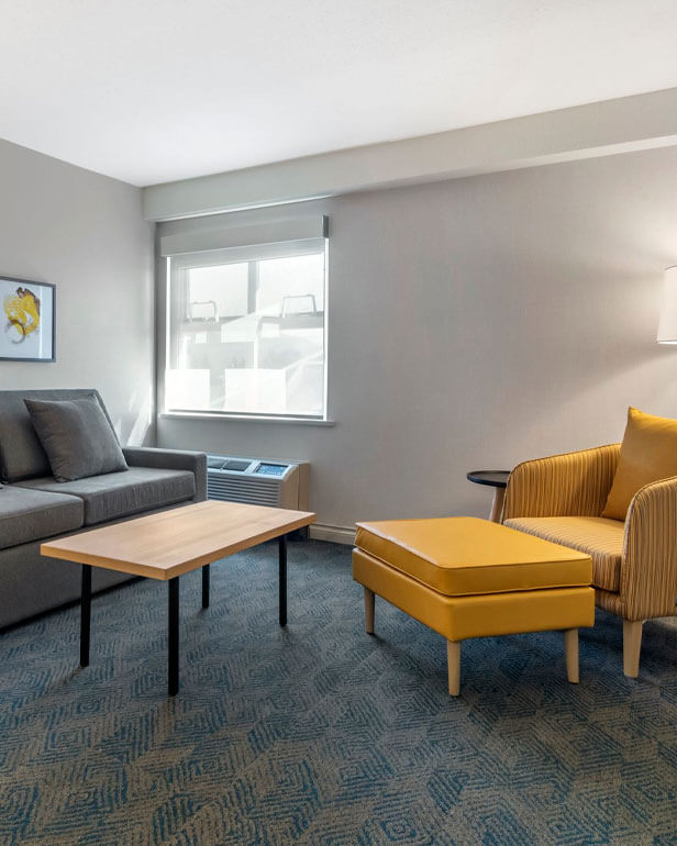 Junior Executive Suite
