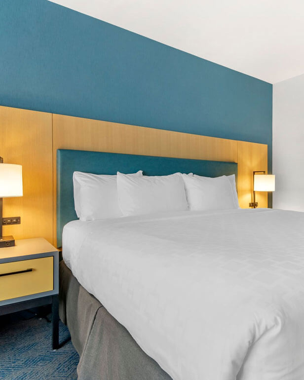 Junior Executive Suite